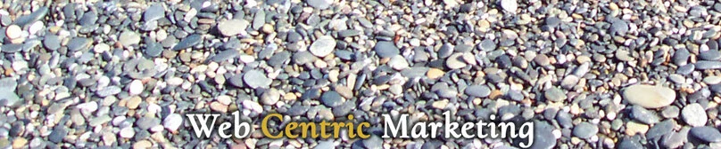 Webcentric Marketing
