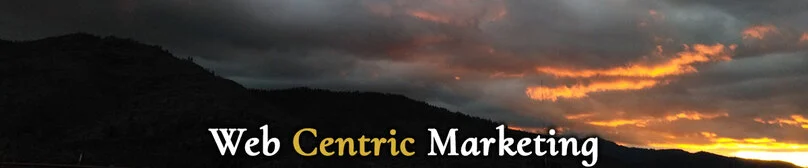 Webcentric Marketing