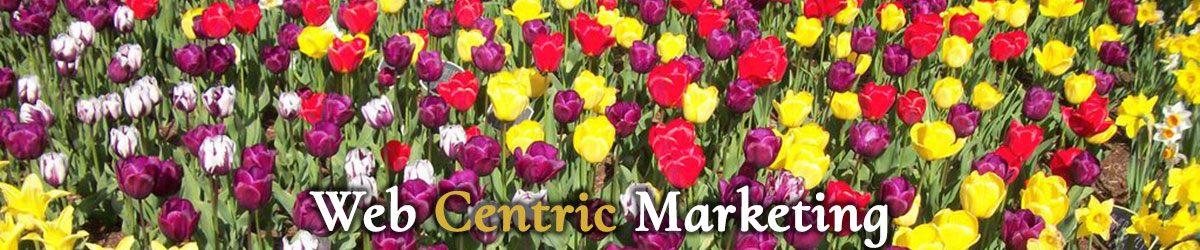 Webcentric Marketing