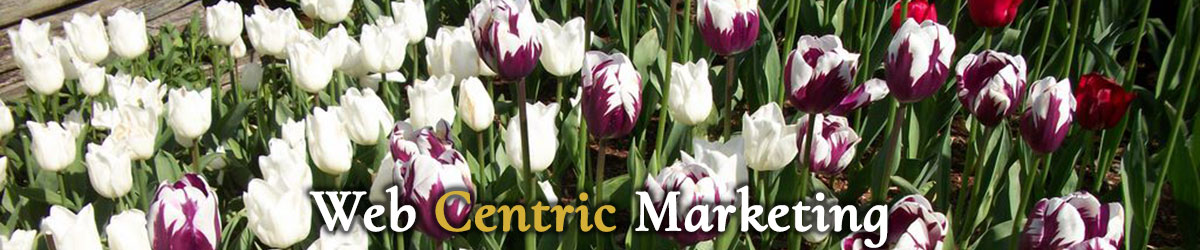Webcentric Marketing